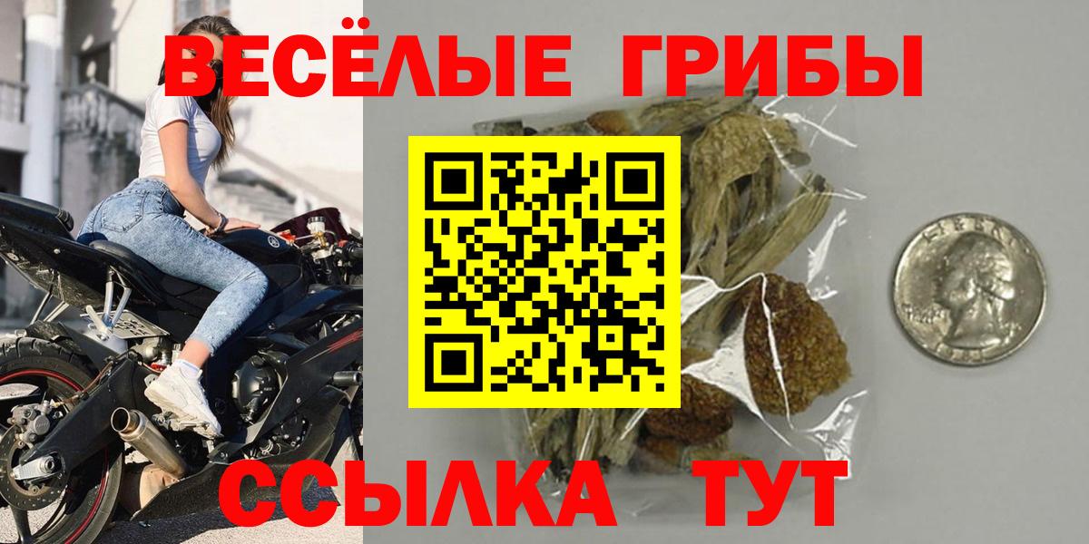 Псилоцибиновые грибы прущие грибы Гудермес
